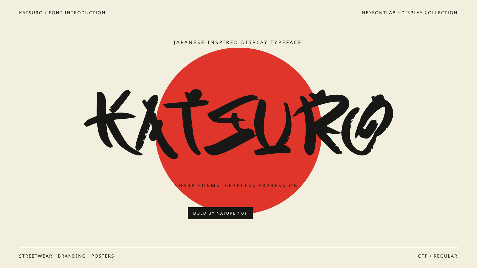 HEY KATSURO specimen